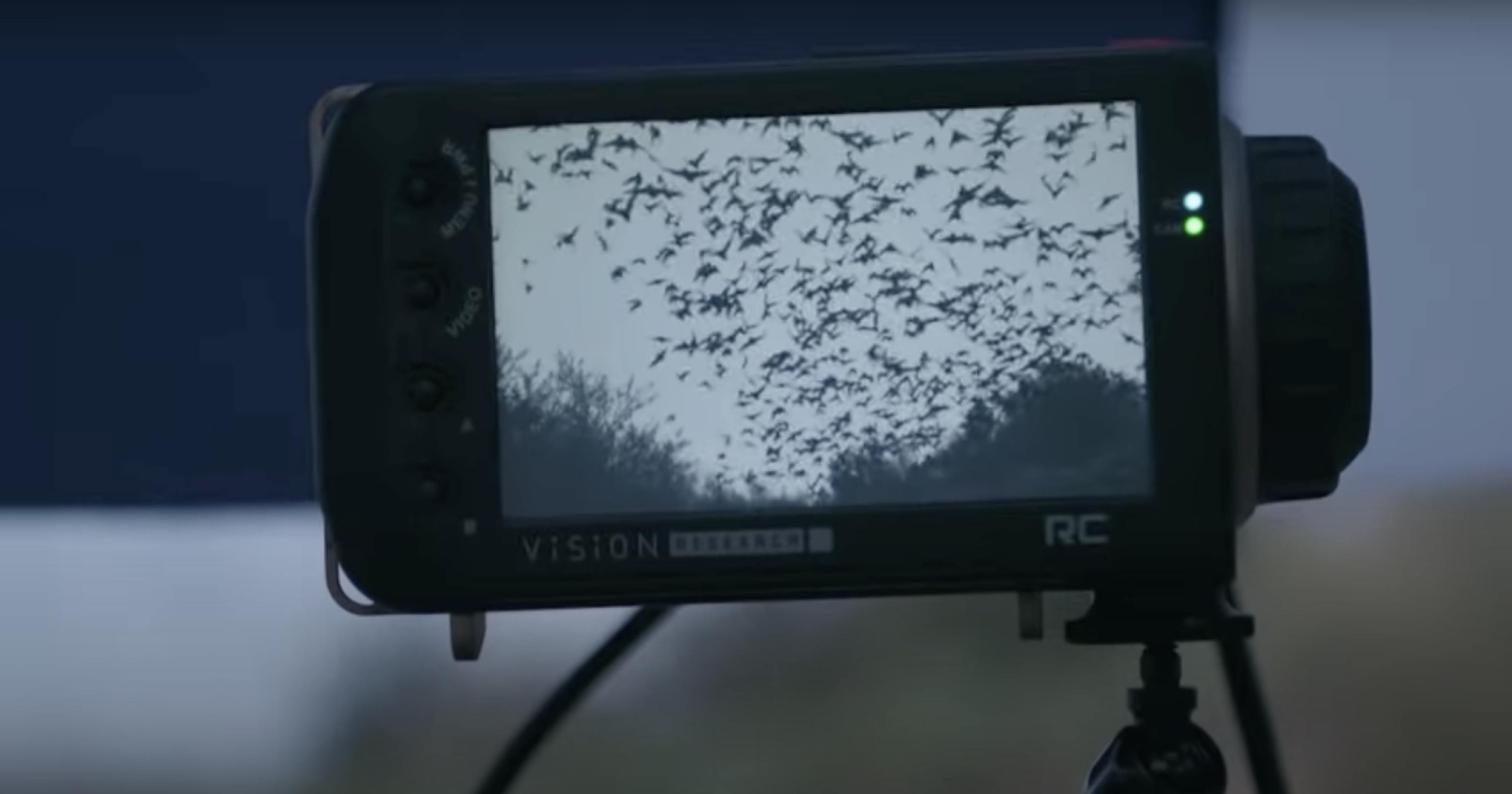 A photograph of a high-speed camera in the process of taking a video of bats emerging from a cave. The situation appears messy, chaotic, and fast.